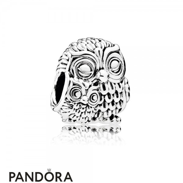 Pandora Animals Pets Charms Charming Owls Charm