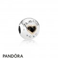 Pandora Family Charms Family Love Clip