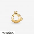 Women's Pandora Shining Pig Charm