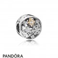 Pandora Zodiac Celestial Charms Celestial Wonders Charm Clear Cz