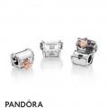 Women's Pandora 2019 Pandora Club Charm