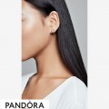 Women's Pandora Clover & Ladybird Stud Earrings