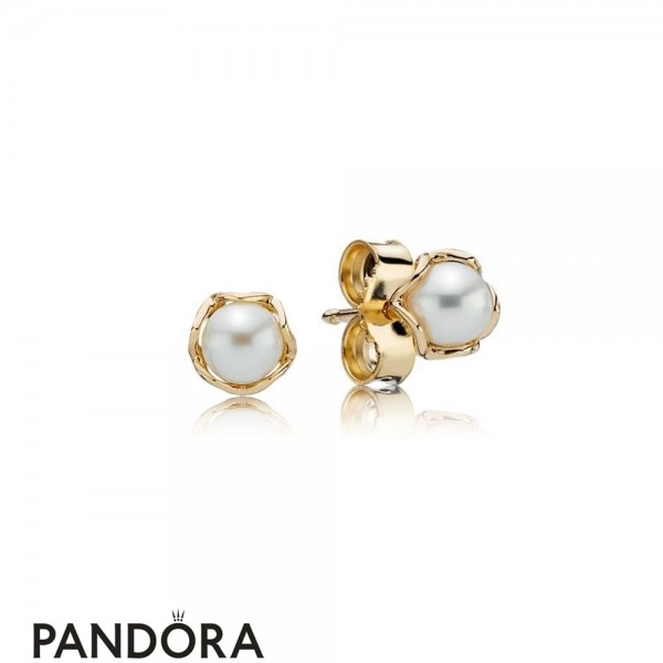 Pandora Collections Cultured Elegance Stud Earrings Pearl 14K Gold