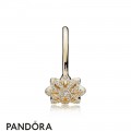 Pandora Collections Lace Botanique Ring 14K Gold