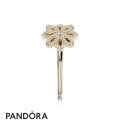 Pandora Collections Lace Botanique Ring 14K Gold