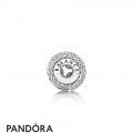 Pandora Essence Balance Charm