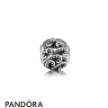 Pandora Essence Freedom Charm