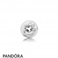 Pandora Essence Positivity Charm Magnesite