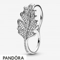 Women's Pandora Oak Leaf Double Ring