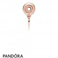 Pandora Rose Appreciation Essence Charm