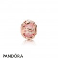 Pandora Rose Bonds Of Love Essence Charm