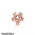 Pandora Rose Bonds Of Love Essence Charm