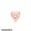 Pandora Rose Follow Your Heart Essence Spacer Charm