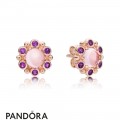 Pandora Rose Heraldic Radiance Earring Studs