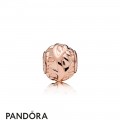 Pandora Rose Love Makes A Family Essence Charm