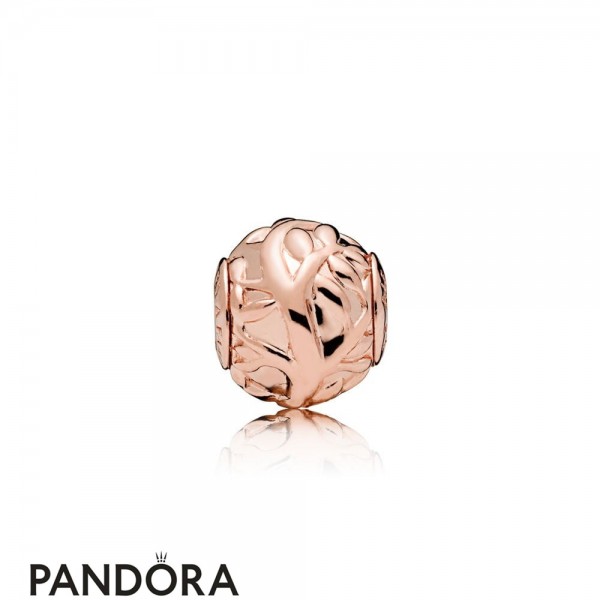 Pandora Rose Love Makes A Family Essence Charm