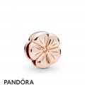 Pandora Rose Pandora Rose Reflexions Classic Flower Clip Charm