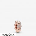 Pandora Rose Polished & Pave Bead Spacer Charm