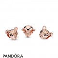 Pandora Rose Enamel Black Cubic Zirconia Sparkling Lion Princess Charm