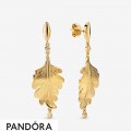Pandora Shine Oak Leaf Earrings