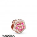 Women's Pandora Sparkling Peach Blossom Flower Charm