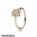 Pandora Rings Lace Botanique Ring 14K Gold