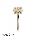Pandora Rings Lace Botanique Ring 14K Gold