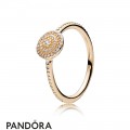 Pandora Rings Radiant Elegance Ring 14K Gold